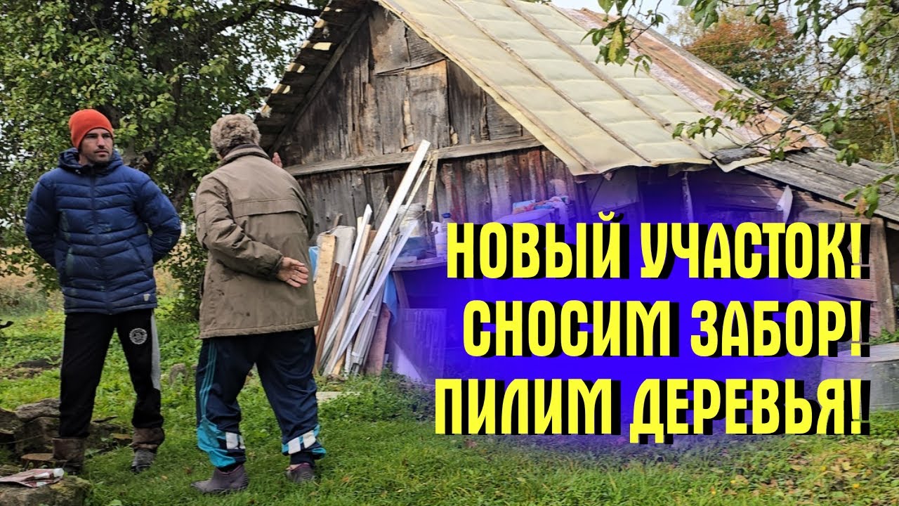 Соседка ЗАХВАТИЛА УЧАСТОК! СНОСИМ ЗАБОР! ПИЛИМ СТАРЫЕ ДЕРЕВЬЯ! Какой ДОМ СТРОИТЬ? УЧАСТОК С НУЛЯ