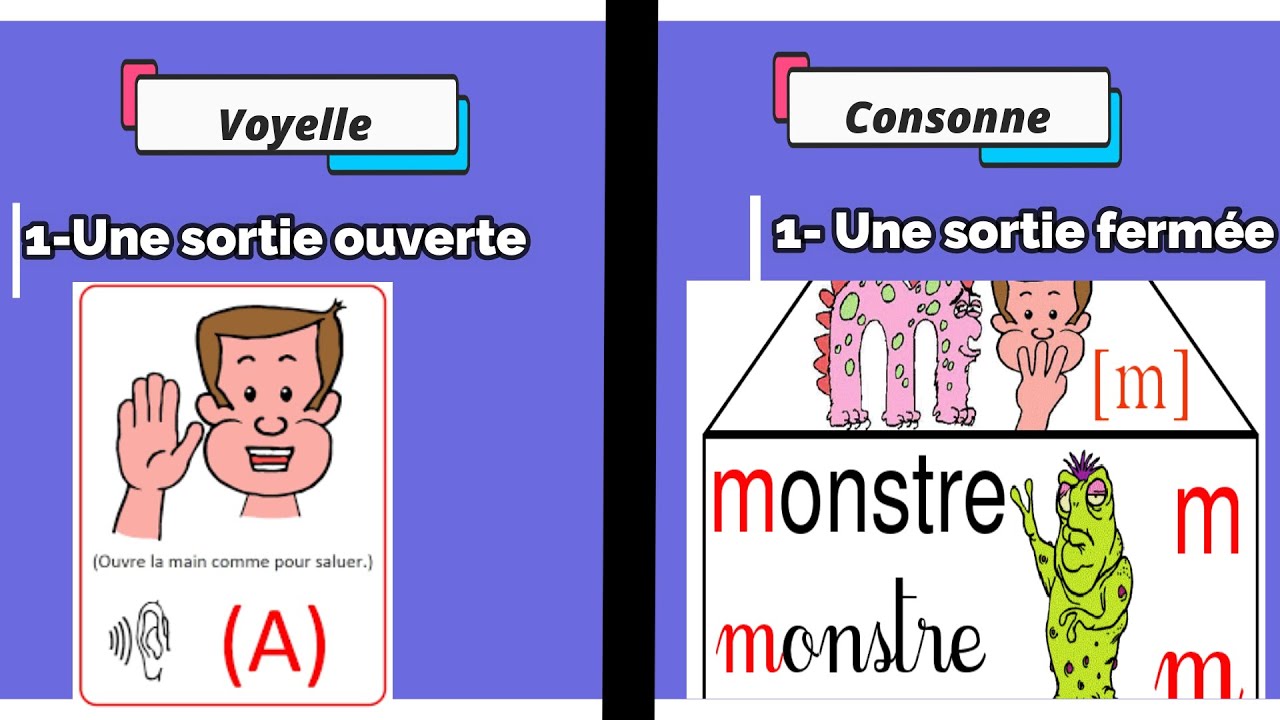 La différence entre la consonne et la  voyelle