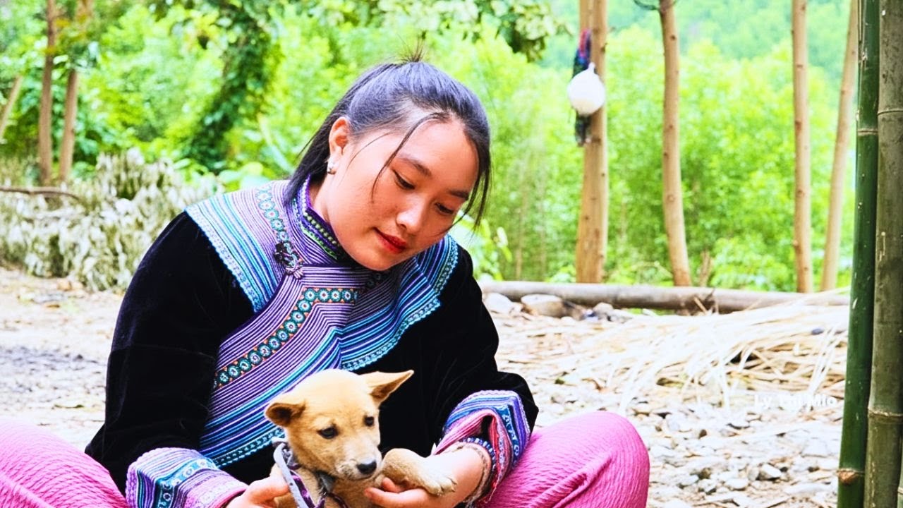 Mlo’s Happy Day: Bringing a Puppy Home