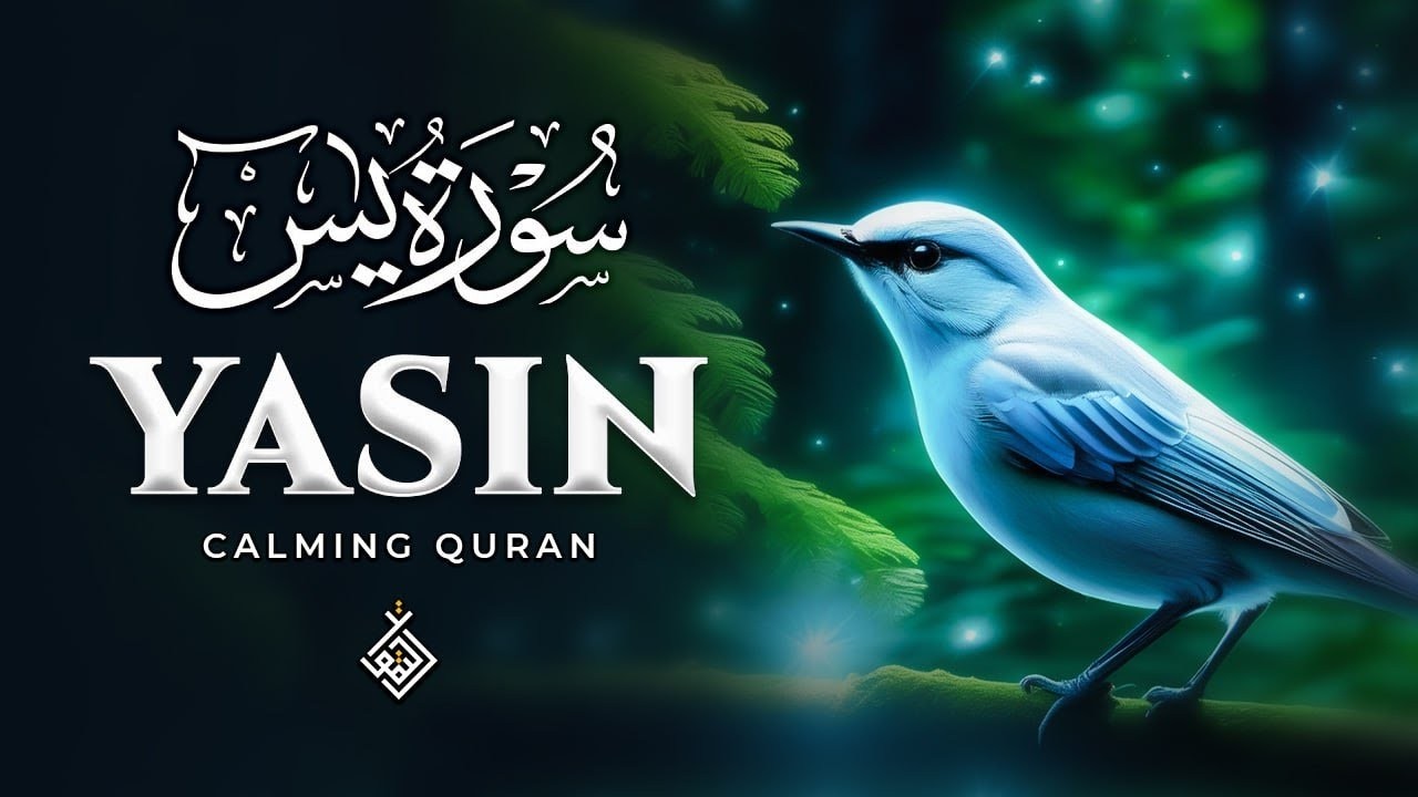 Surah Yasin (Yaseen) سورة يس | A Beautiful Calming Recitation That Soothes The Heart | Al-Taqwa TV