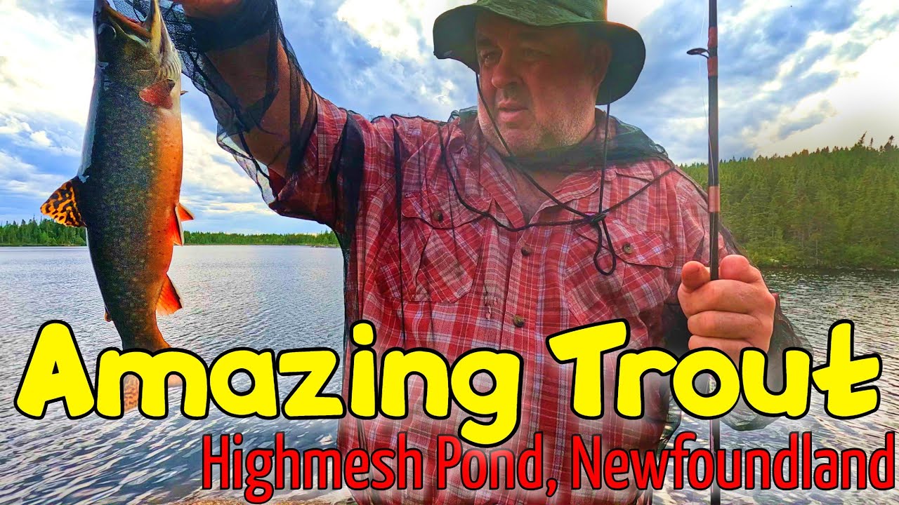 Father’s Day Trout Fishing | Wild Bait & Rugged Adventure!