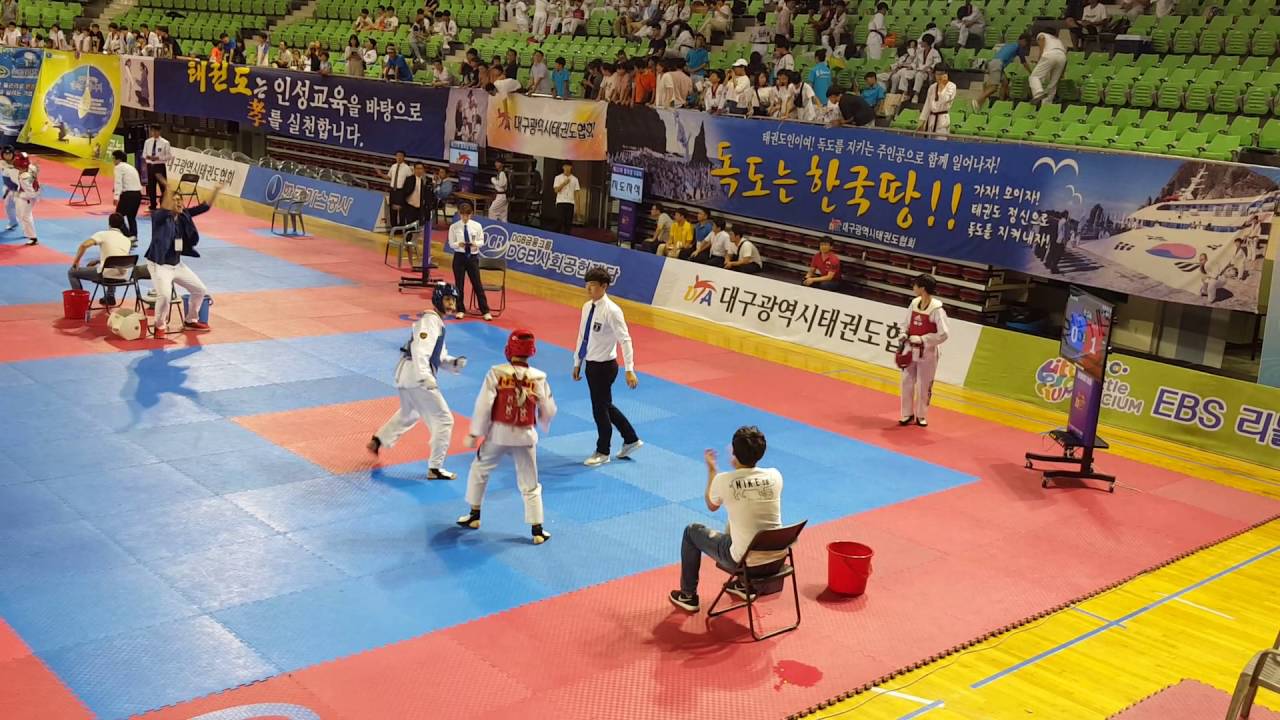 차도현태권도 윤민기3(승)