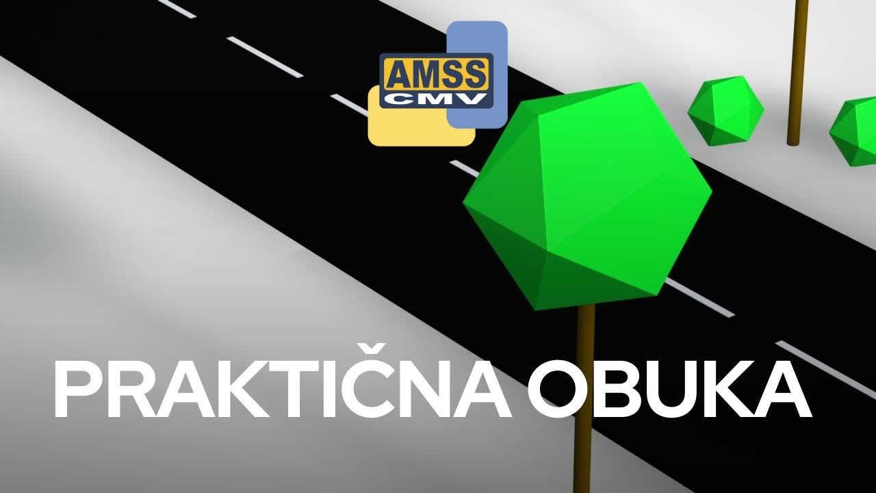 Praktična obuka profesionalnih vozača