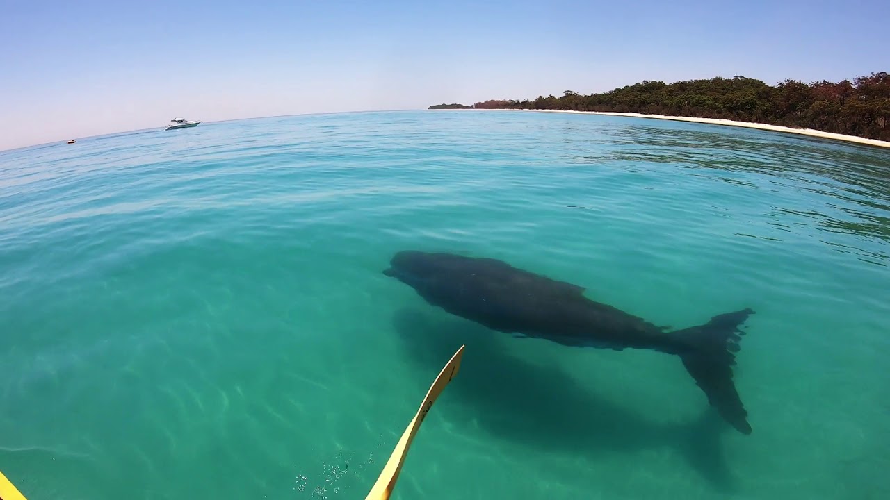 Moreton Island Sea Kayaking Expedition December 2019