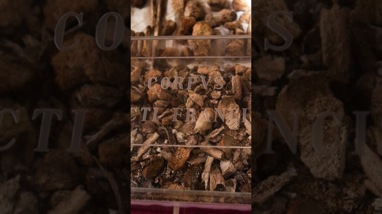 THE REMAINS OF SAINT FRANCIS OF ASSISI                  WILL BE VISIBLE TO ALL