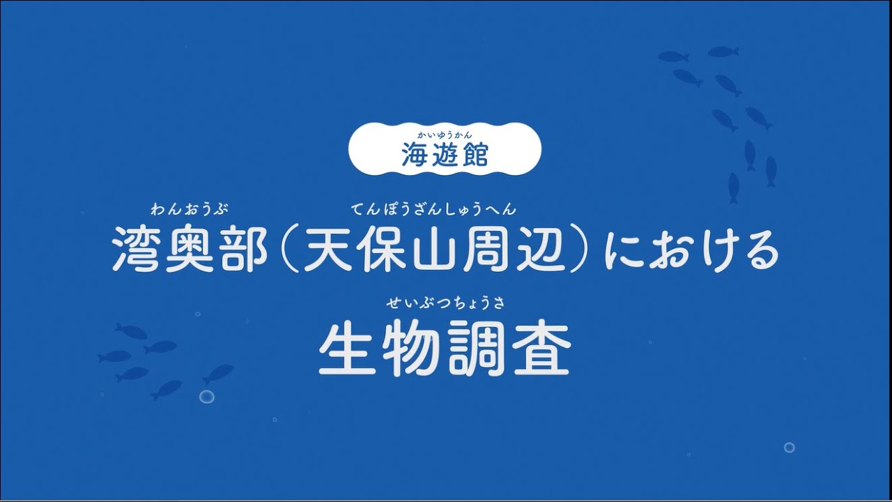 令和の里海づくり（天保山周辺での生物調査）