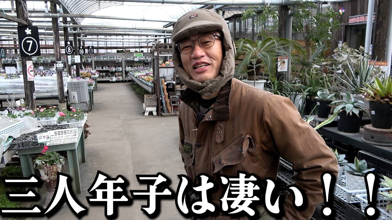じゅんぺい君家に三人目の子どもが産まれました！！【カーメン君】【園芸】【ガーデニング】