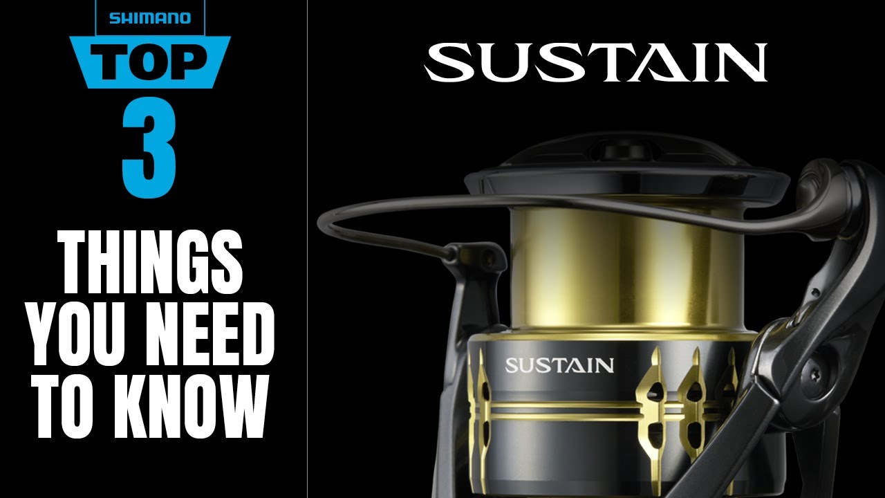 Shimano Sustain FK | Top 3 Features You Need to Know