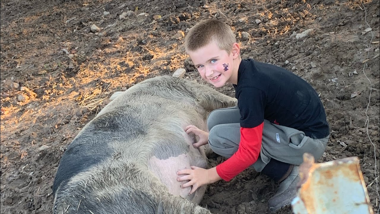 Just a boy and his bottle pig! 