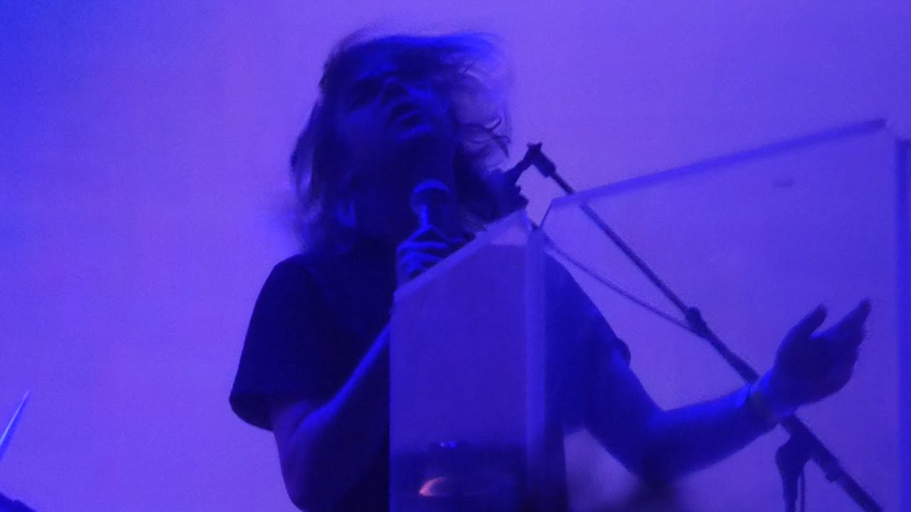 Ariel Pink - Dinosaur Carebears [Live at Le Guess Who?, TivoliVredenburg, Utrecht - 22-11-2015]