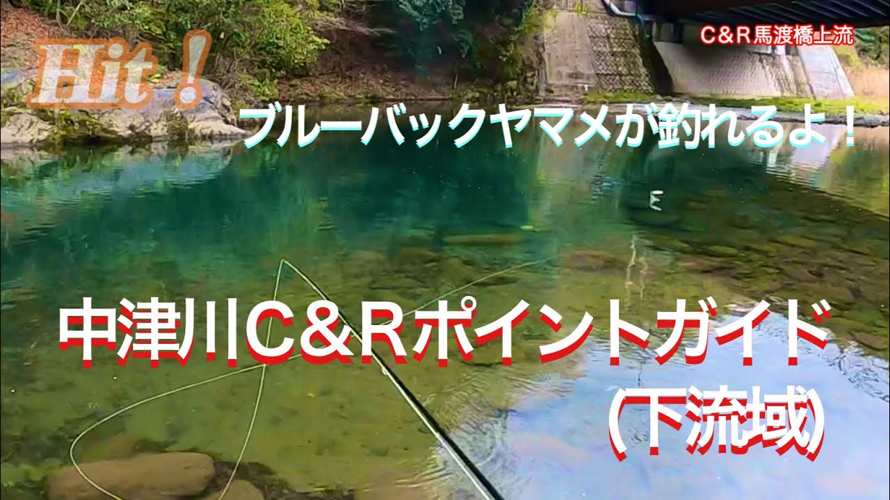 神奈川県中津川C&Rのポイント紹介（下流域）　【フライフィッシング】【flyfishing】