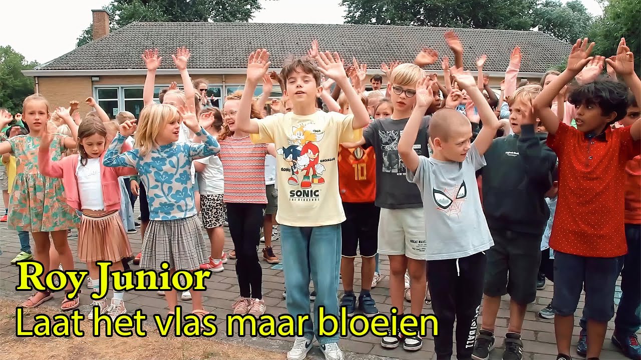 Roy Junior  - Laat het vlas maar bloeien