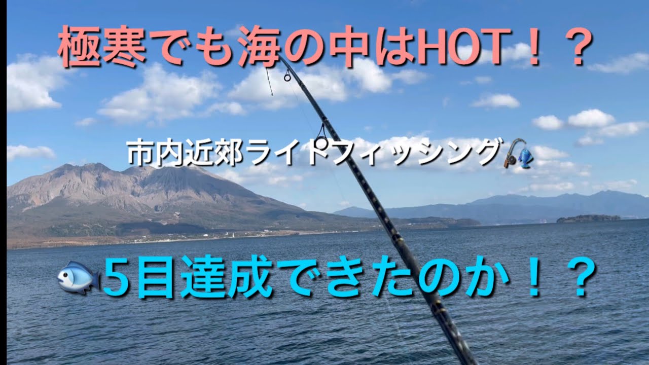 鹿児島市内近郊ライトフィッシング