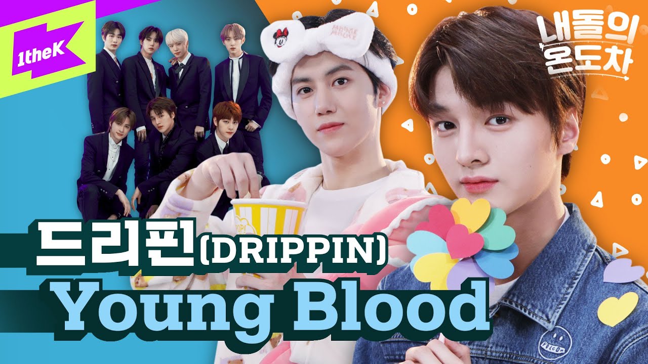 청량 상큼 멋짐 다 하는 드리핀이 내 삶이고 청춘이다...💘 | DRIPPIN _ Young Blood | 내돌의 온도차 | GAP CRUSH