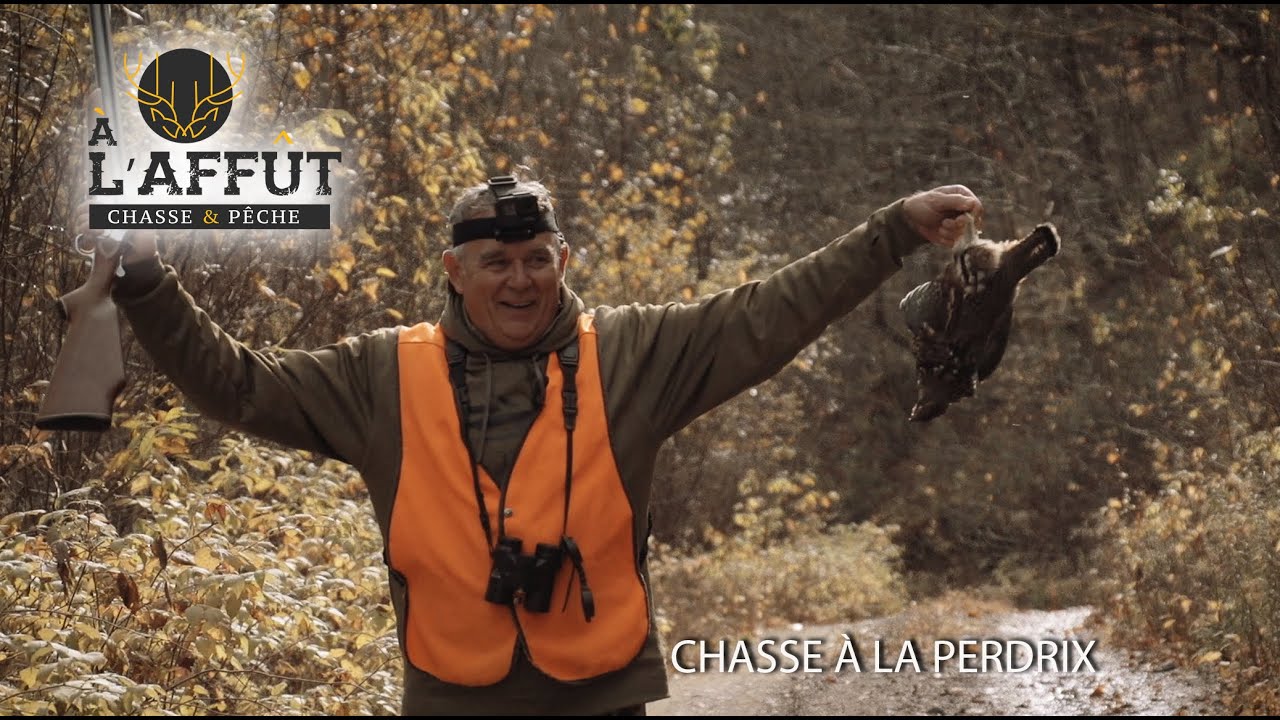 À l'affût: Chasse à la perdrix