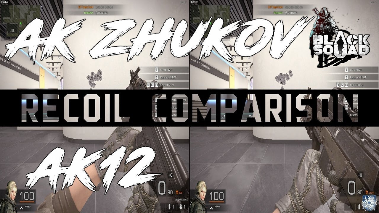 AK ZHUKOV VS AK12 Recoil comparison (Black Squad)