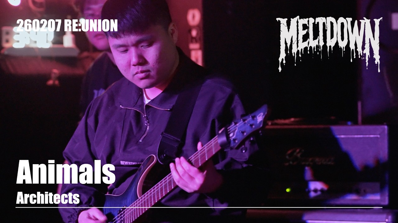 Architects - Animals (Cover by Meltdown)