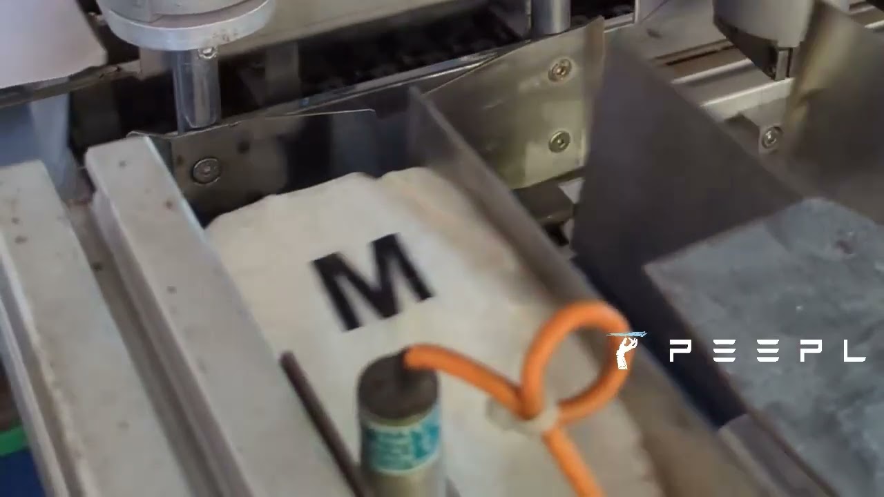 Examination Glove Packing | PEEPL Automation