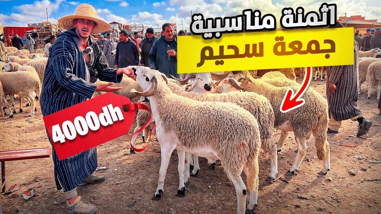 لله على سوق جمعة سحيم إقليم أسفى🇲🇦مع أثمنة الحولي العيد الأضحى🐑إنخفاض الأسعار في حولي🤑بتاريخ24/05/24