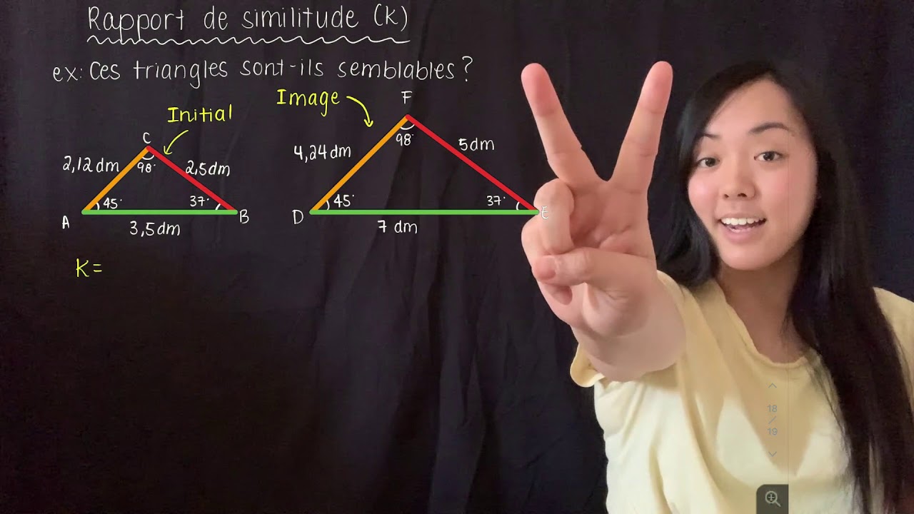 Figures semblables et rapport de similitude