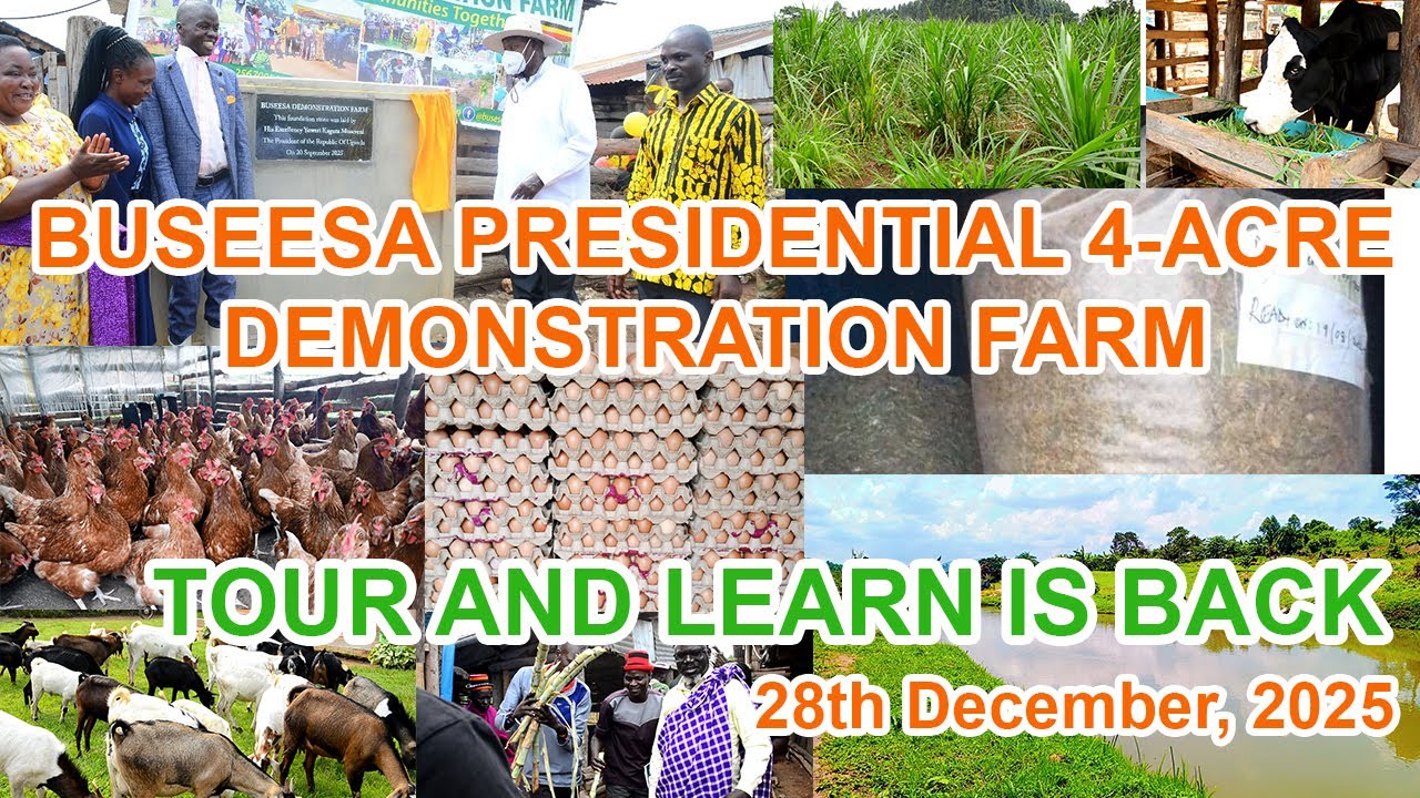 Tour and Learn is Back at Buseesa Presidential 4 Acre Demonstration Farm