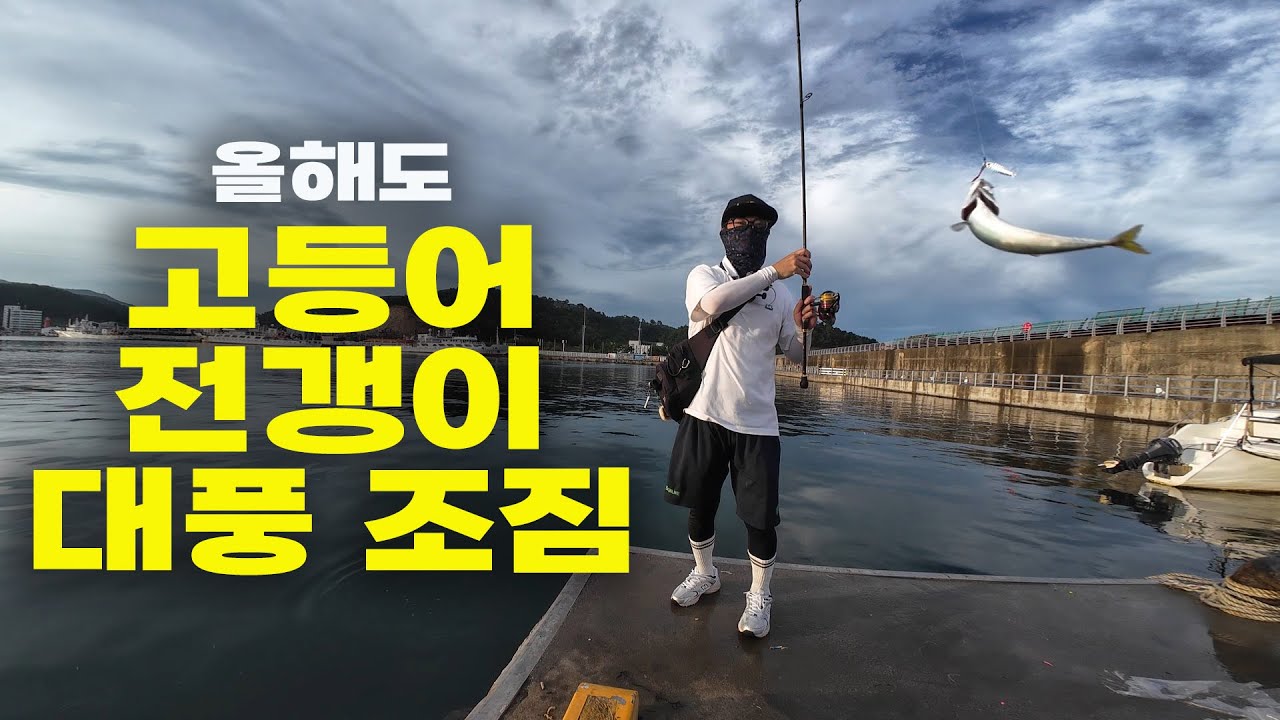 가을이면 시작되는 고등어 전갱이 대잔치 올해도 대풍년 될 듯 합니다.  / 메탈지그 변태채비