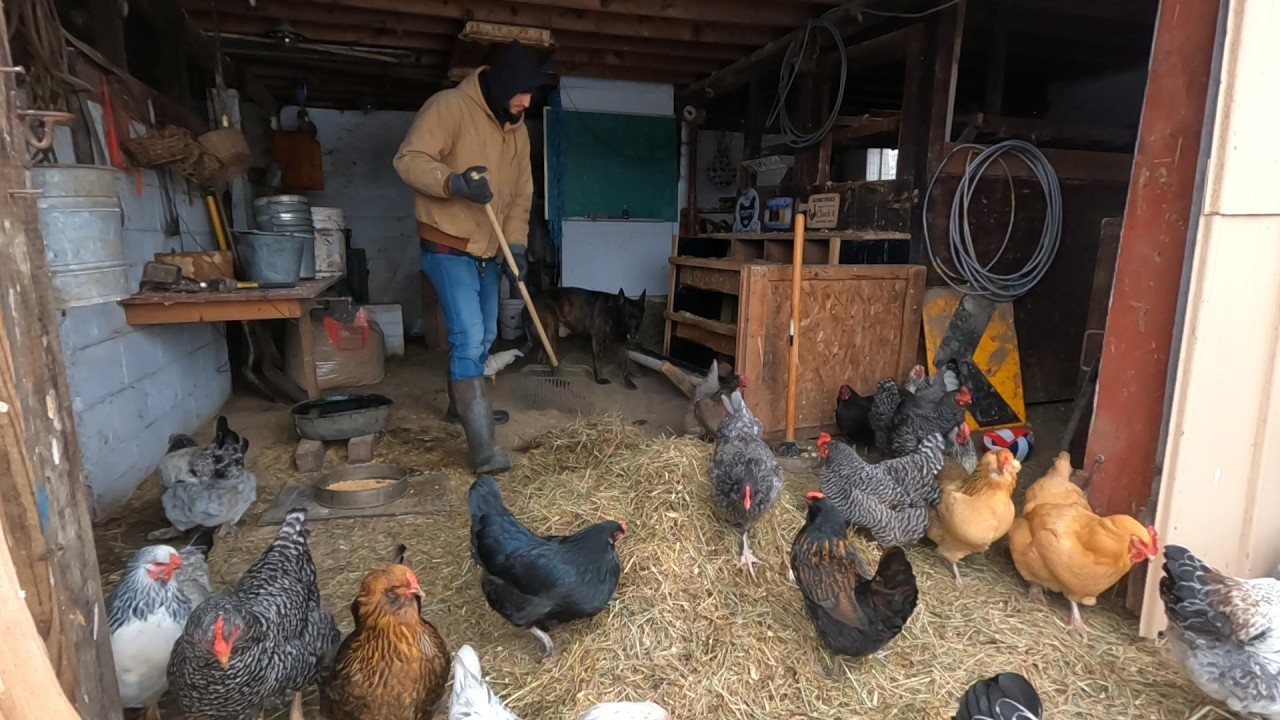 FLUFFY BUTT HUTT! _ Homestead Clean-Up! // Whitt Acres