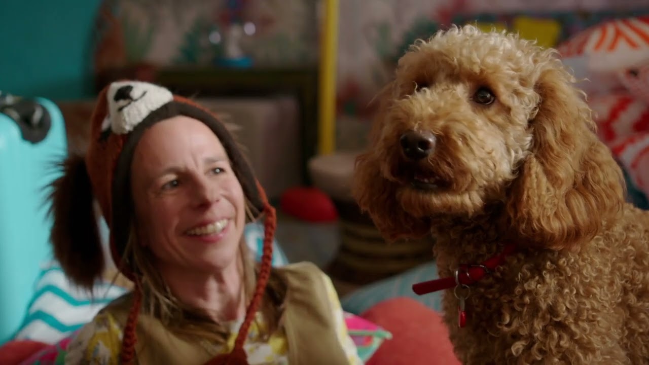 Legendary Knight Waffle  | Waffle the Wonderdog | Live Action Videos for Kids | WildBrain Zigzag