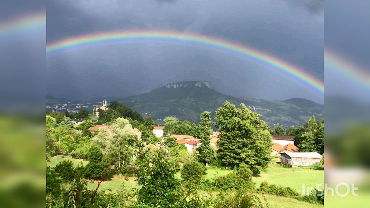 Sei di Castelnovo ne' Monti se...