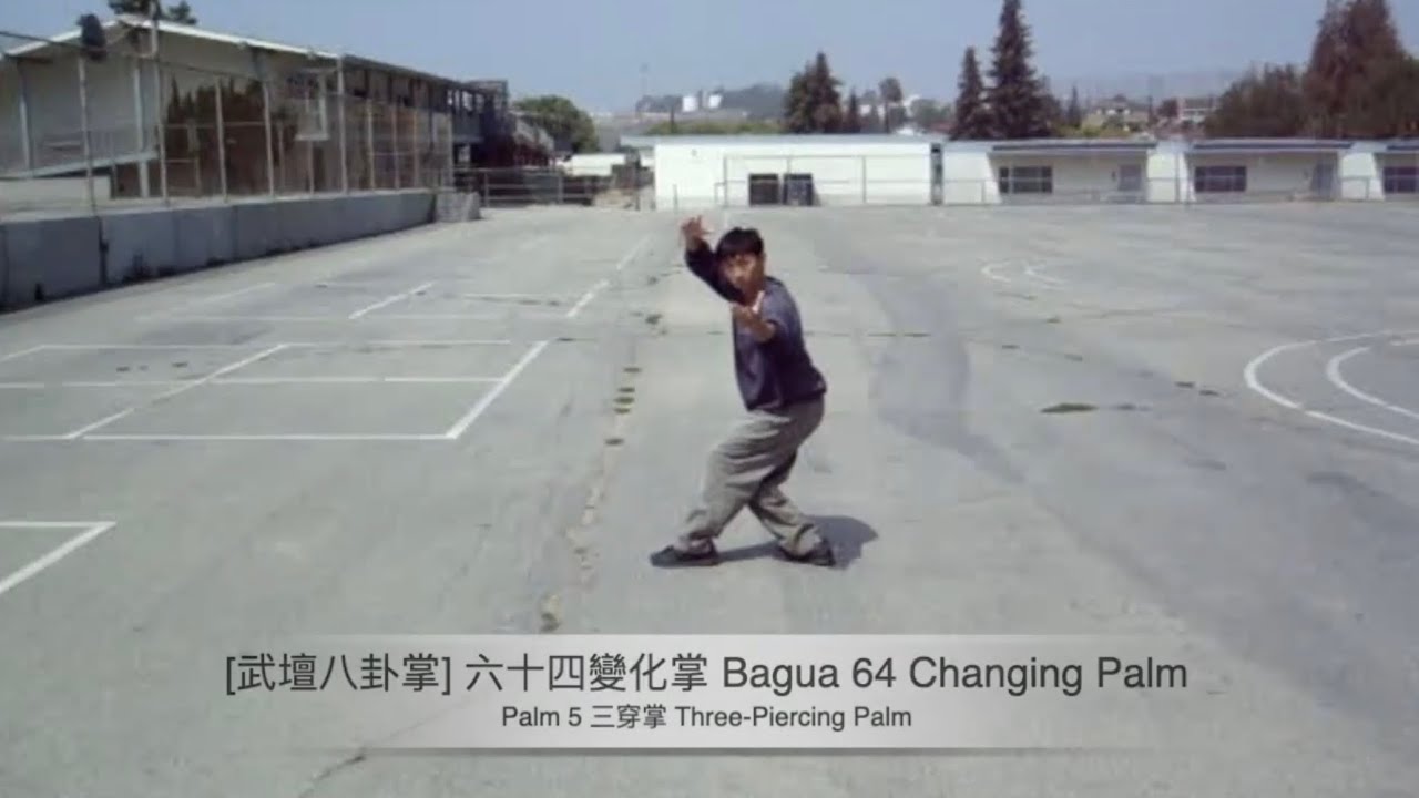 [武壇八卦掌] 六十四變化掌 Bagua 64 Changing Palm - Palm 5 三穿掌 Three-Piercing Palm