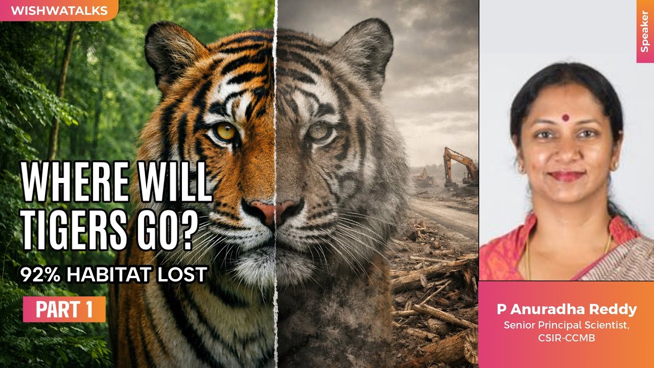 Saving Tigers Means Saving Forests: The Science Behind Tiger Conservation| P Anuradha Reddy part 1