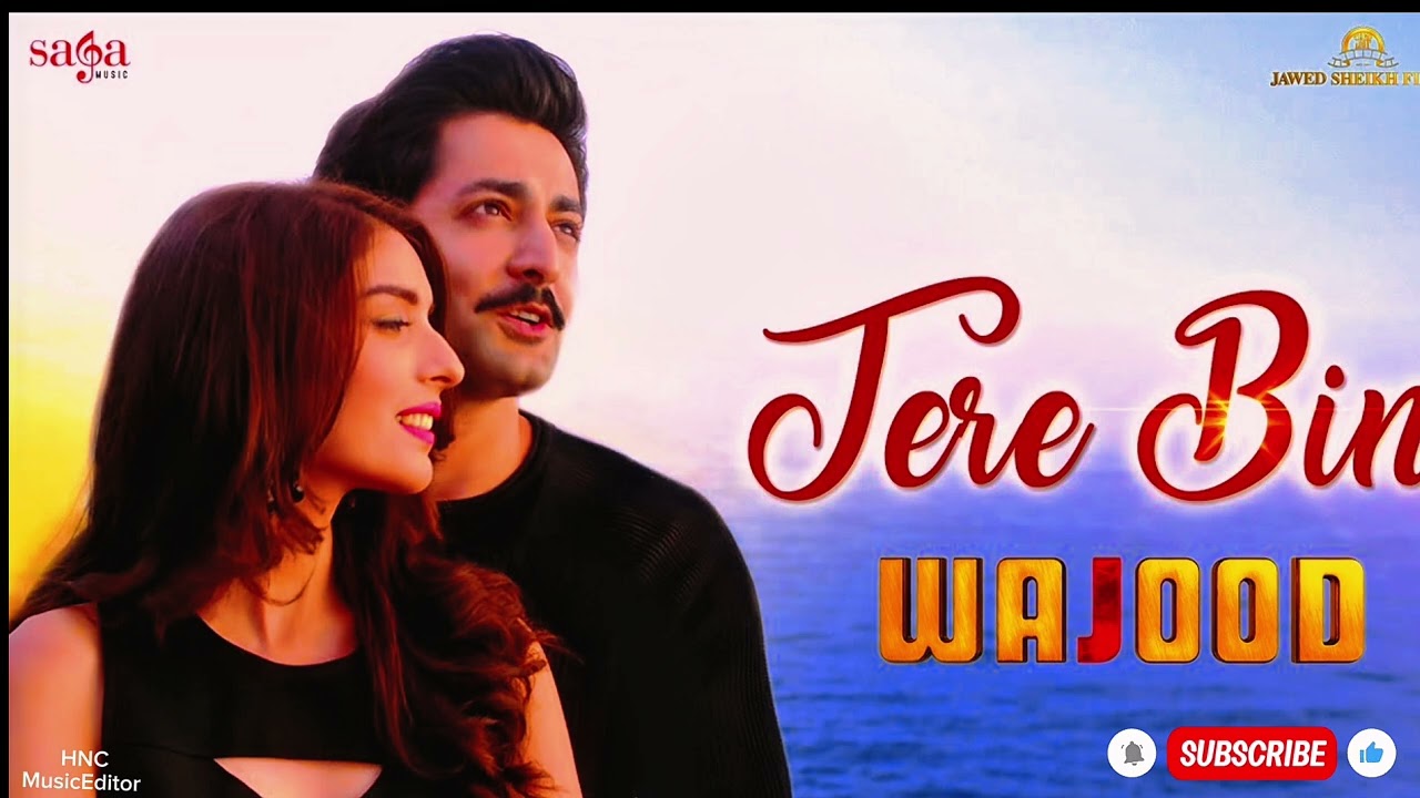 Tere Bin ❤️ Romantic Hindi Song | New Love Song 2026 | Soft Bollywood Romantic Song | LoFi Love Song