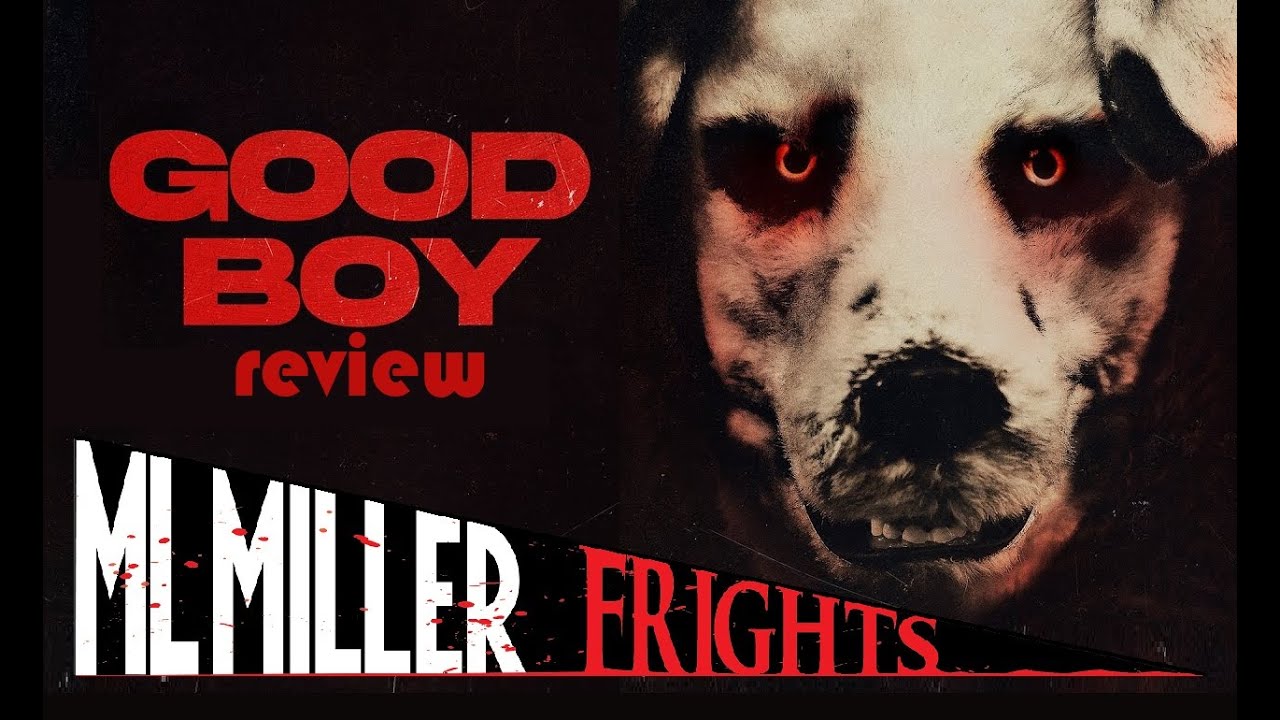 GOOD BOY (2023) Review - This Film From Norway is One Sick Puppy!