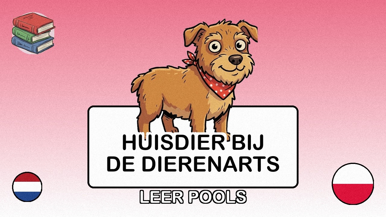🇳🇱→🇵🇱 Leer Pools - Je huisdier naar de dierenarts brengen