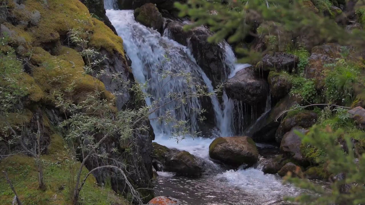 MY SIBERIA , МОЙ СИБИРЬ (Filip Lackovic-Bright New Day)