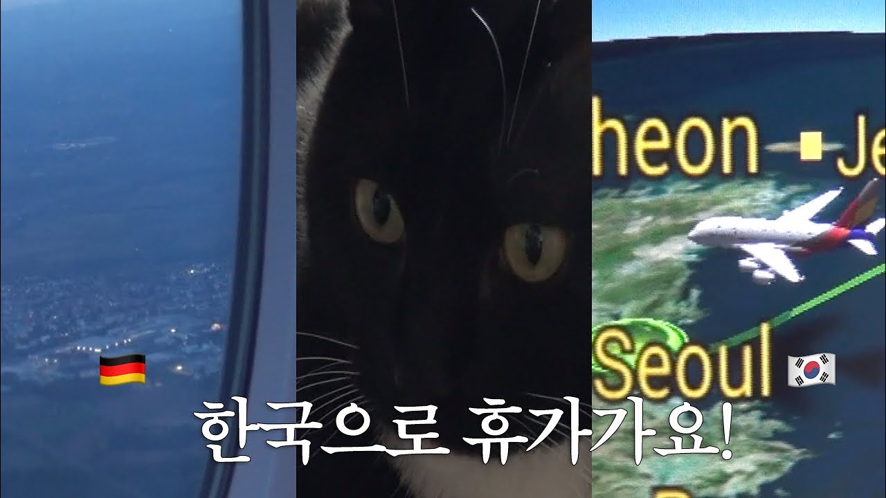 한독커플의 휴가지는 바로 한국🛩️ 드디어 출국합니다!