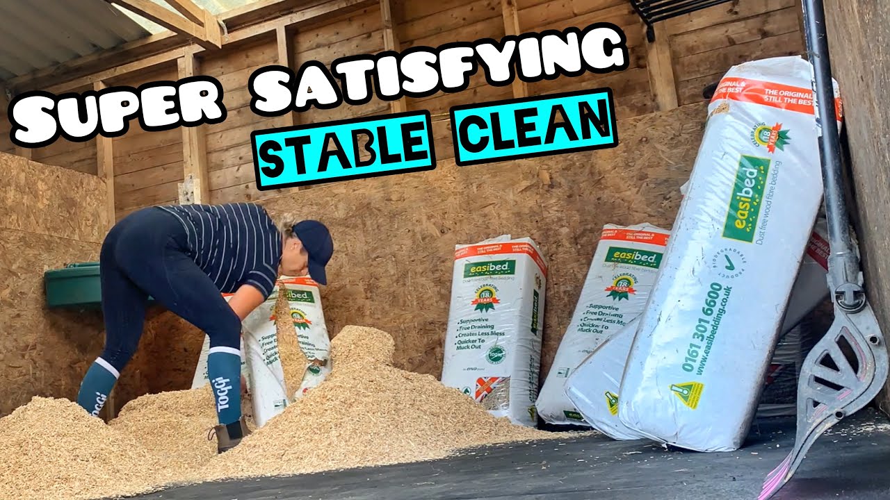 SATISFYING STABLE CLEAN | Getting Banksy’s Bedroom Winter Ready