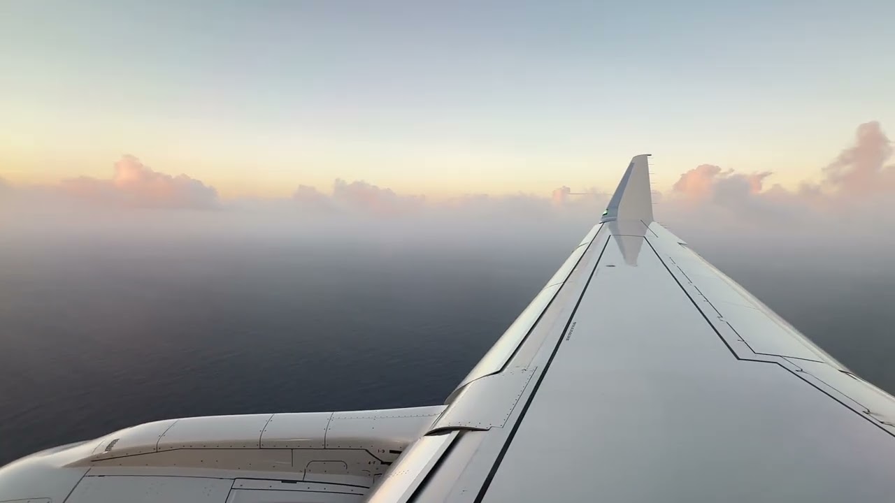 Landing at Douglas-Charles Airport in Dominica 🇩🇲