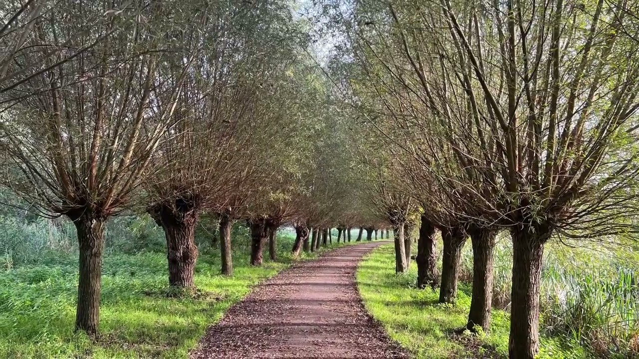 Laantje 21 jan. 2021-21 jan.2026