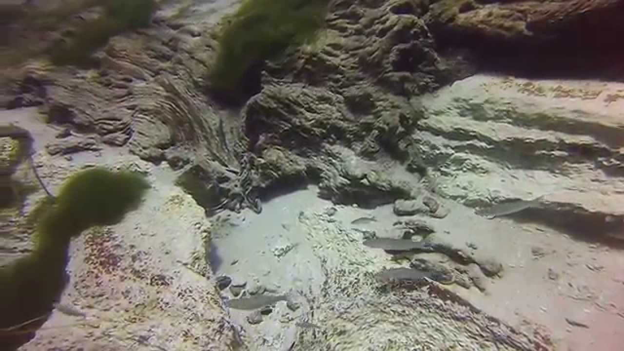 Immersione al fiume Chidro