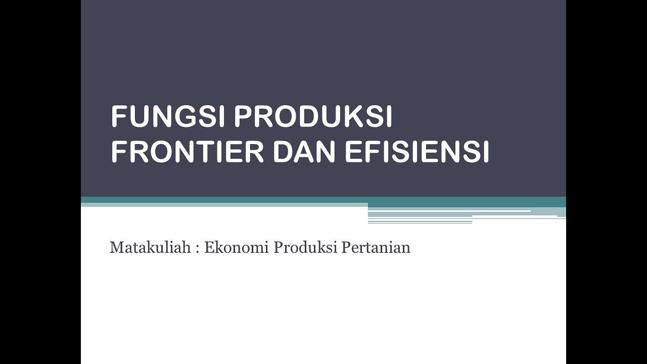 FUNGSI PRODUKSI FRONTIER DAN EFISIENSI