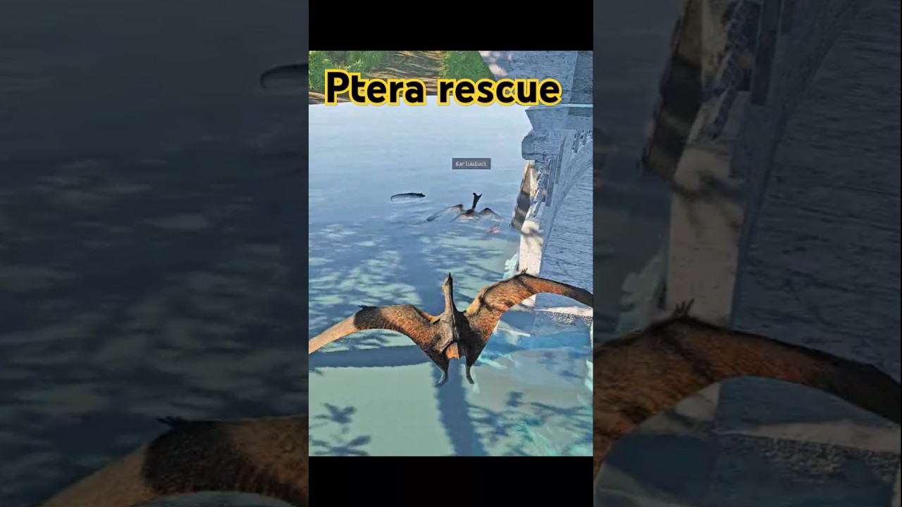 Ptera rescue #theisle '#evrima #pt #ptera #pteranodon #combat #pvp
