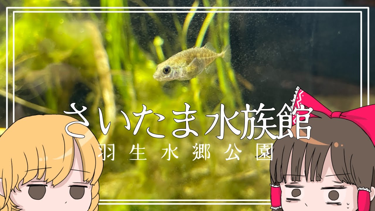 霊夢と魔理沙がさいたま水族館に行くよ『後編』【ゆっくり実況解説】【Vlog】【埼玉旅行】Vol.16
