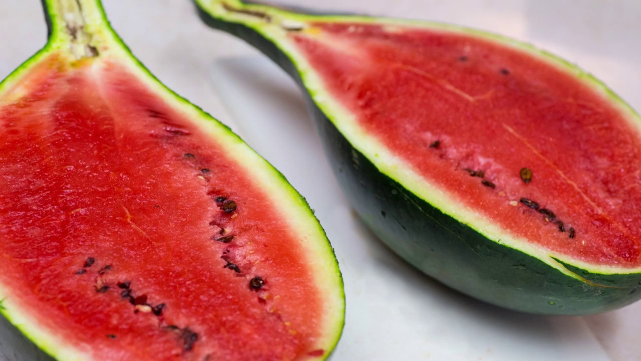 Handled Melon All final