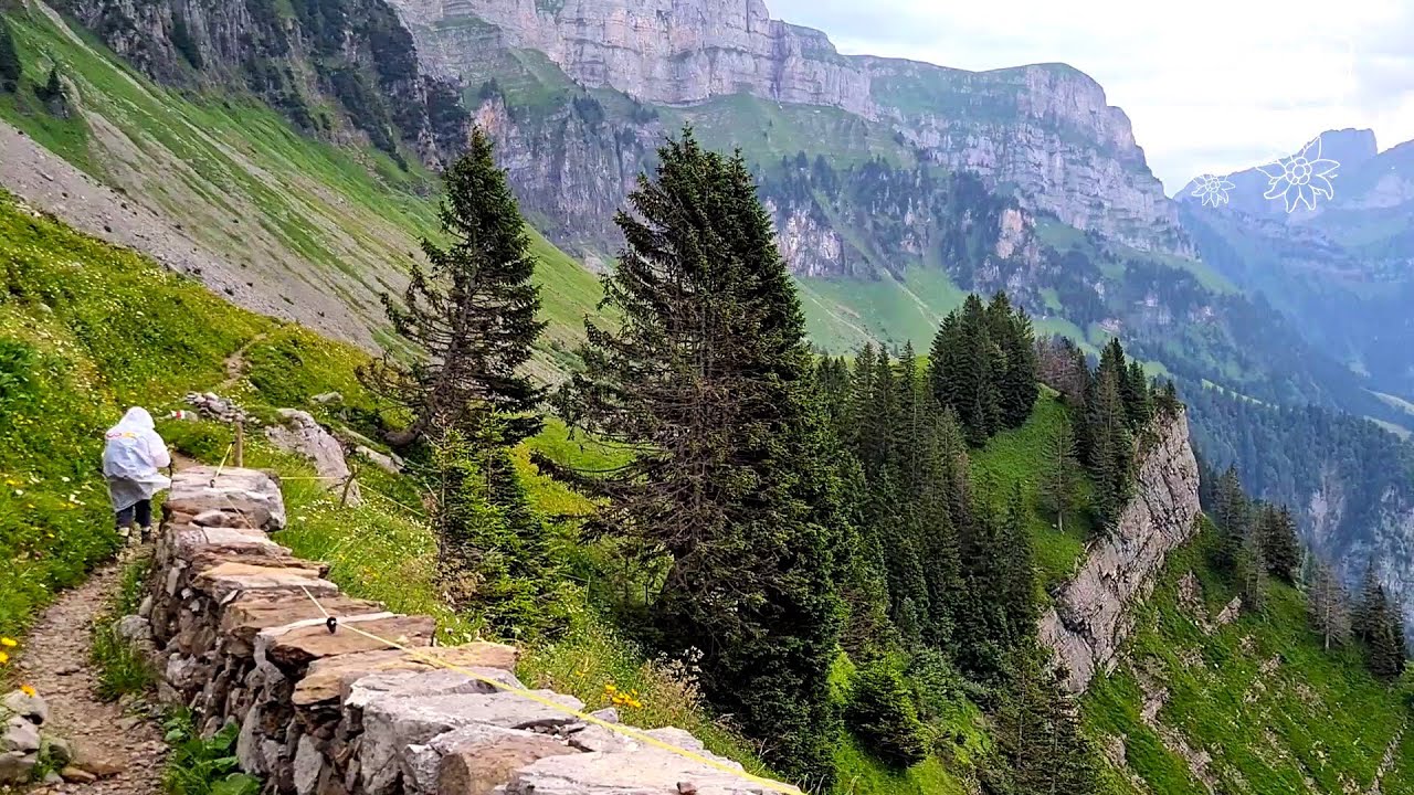 Peaceful panorama hike from Paxmal to Tschingla Alp and Lüsis through art and nature (2024/07/19)
