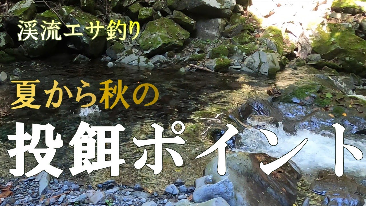 渓流エサ釣り 投餌ポイント (夏から秋)