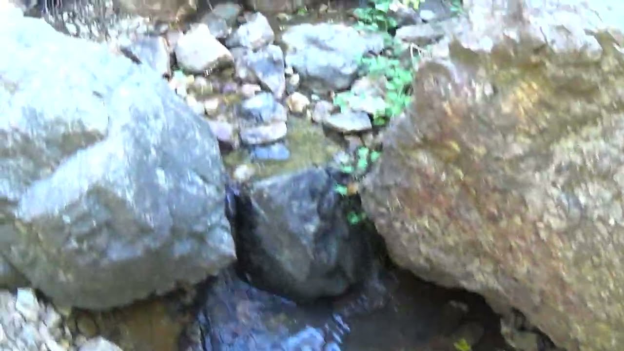 Hiking Review Heughs Canyon, Millcreek Utah