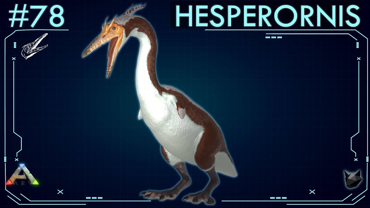 ВСЕ О ГЕСПЕРОРНИСЕ (#78) | ARK: Survival Evolved | The Island Dossiers |