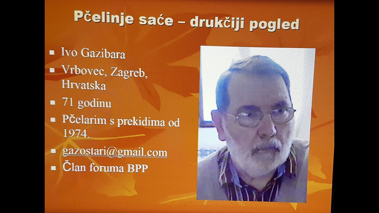 Ivan Gazibara: KAKO I KADA PČELE GRADE SAĆE