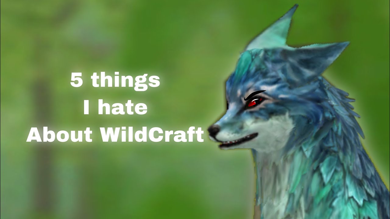 Top 5 things i hate about WildCraft // zBarfie
